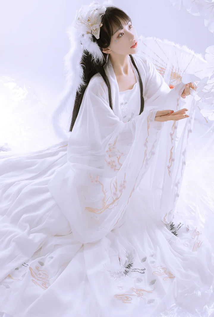 Experience the charm of the Tang Dynasty with our Qixiong Ruqun ensemble inspired by Yang Guifei, embodying a unique chapter in feminine ideals. Step into timeless elegance with this regal "Da Xiu Shan" coat, capturing historical trends with a contemporary twist.